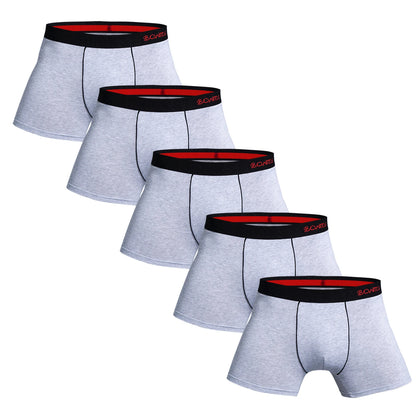 UNDERWEAR GLOLS 5 PCS